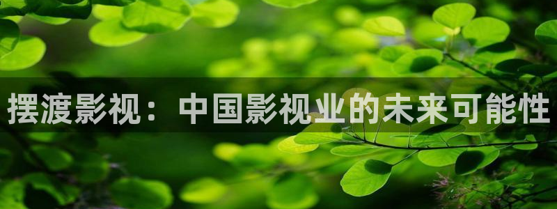 爱丫爱丫在线影院电视剧免费观看青春有你：摆渡影视：中国影视业的未来可能性