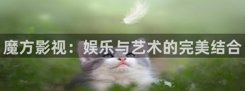 爱丫爱丫免费高清电视剧在线播放：魔方影视：娱乐与艺术的完美结合