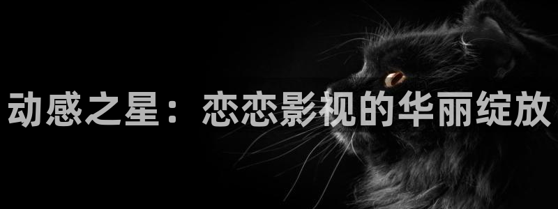 爱丫爱丫影院电视剧观看：动感之星：恋恋影视的华丽绽放