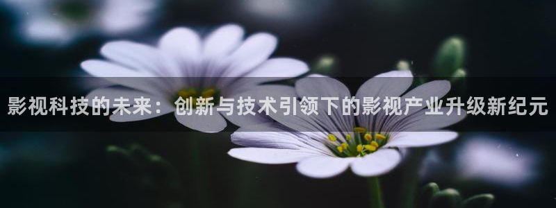 爱丫爱丫在线播放电影：影视科技的未来：创新与技术引领下的影视产业升级新纪元