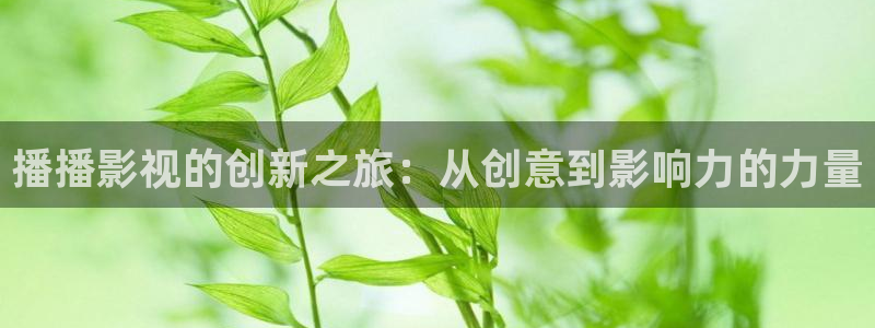爱丫爱丫在线影院电视剧免费拉拉：播播影视的创新之旅：从创意到影响力的力量