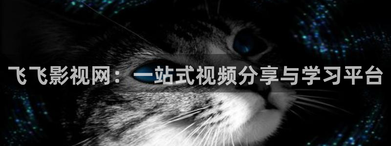爱丫爱丫高清电视剧在线播放：飞飞影视网：一站式视频分享与学习平台