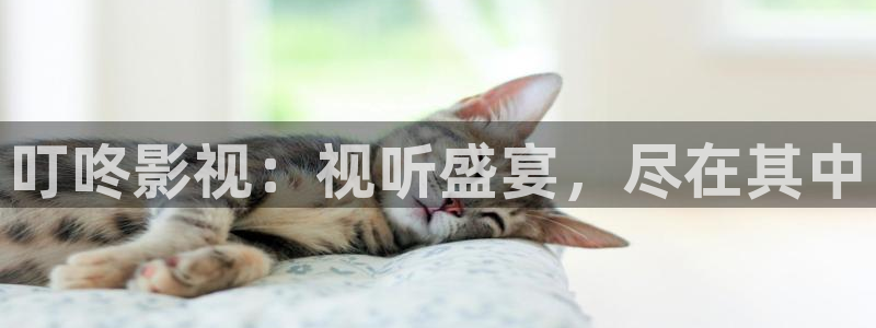 爱丫爱丫影院在线观看：叮咚影视：视听盛宴，尽在其中