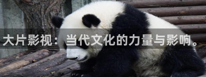 爱丫爱丫欧美剧在线观看免费播放：大片影视：当代文化的力量与影响。