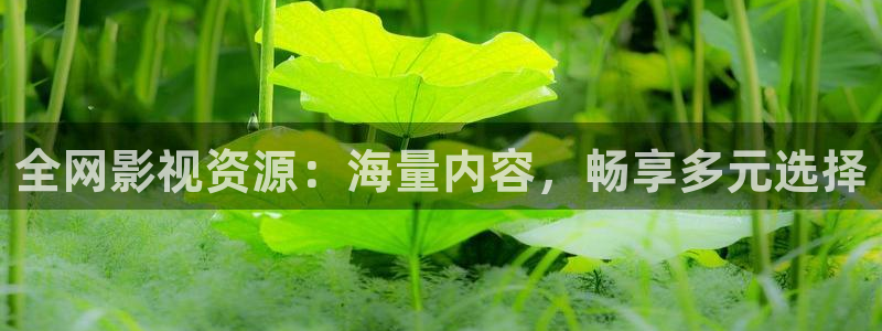 欧美爱丫爱丫电视剧在线观看免费播放：全网影视资源：海量内容，畅享多元选择